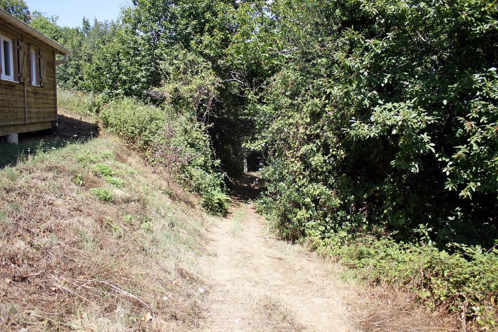 Camping Domaine Vallee Du Tarn Sn Saint-Cirgue Dış mekan fotoğraf