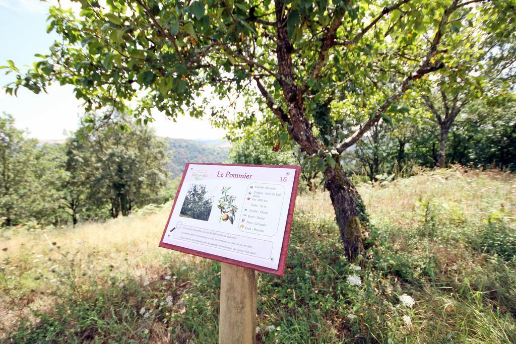 Camping Domaine Vallee Du Tarn Sn Saint-Cirgue Dış mekan fotoğraf