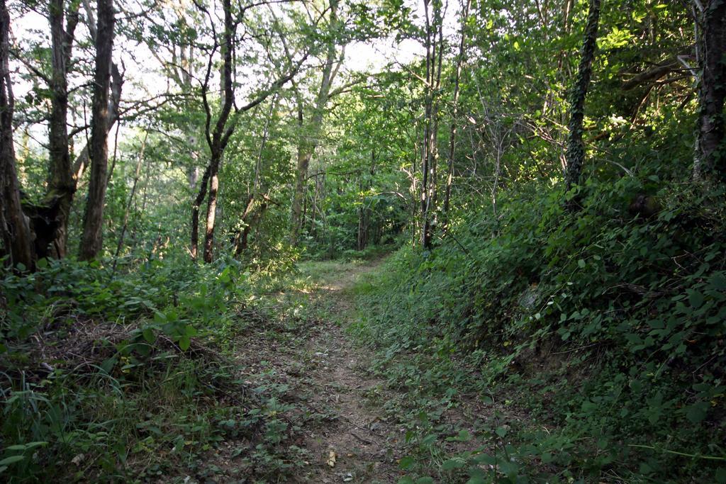 Camping Domaine Vallee Du Tarn Sn Saint-Cirgue Dış mekan fotoğraf