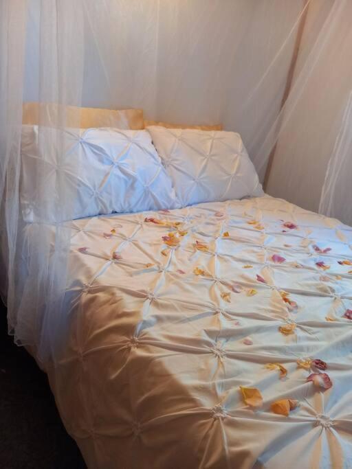 Camping Domaine Vallee Du Tarn Sn Saint-Cirgue Dış mekan fotoğraf